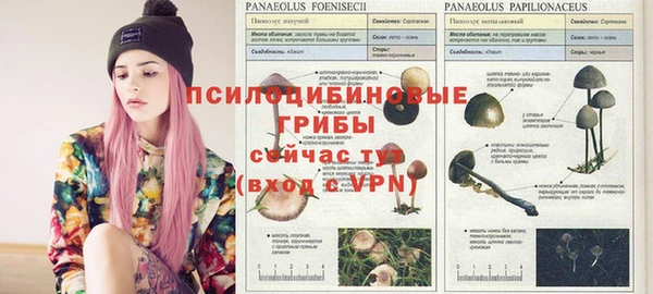 MDMA Зерноград