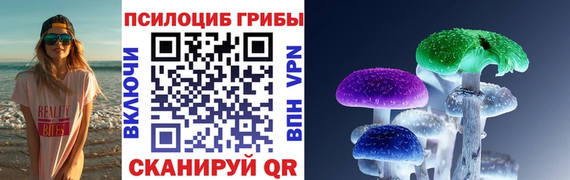 как найти mega онион Галлюциногенные грибы ЛСД Щёлково