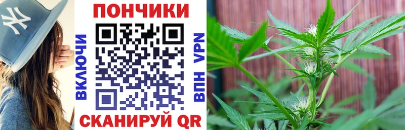 маркетплейс Telegram  Щёлково  Марихуана индика  купить наркотики цена 